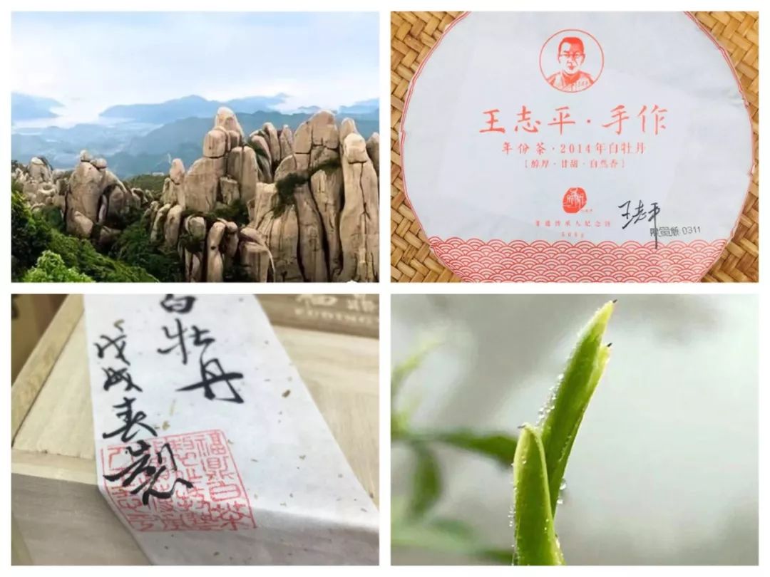 看了这40位生活美学家的创造，心顿时亮了！西安人年度最佳收藏贴