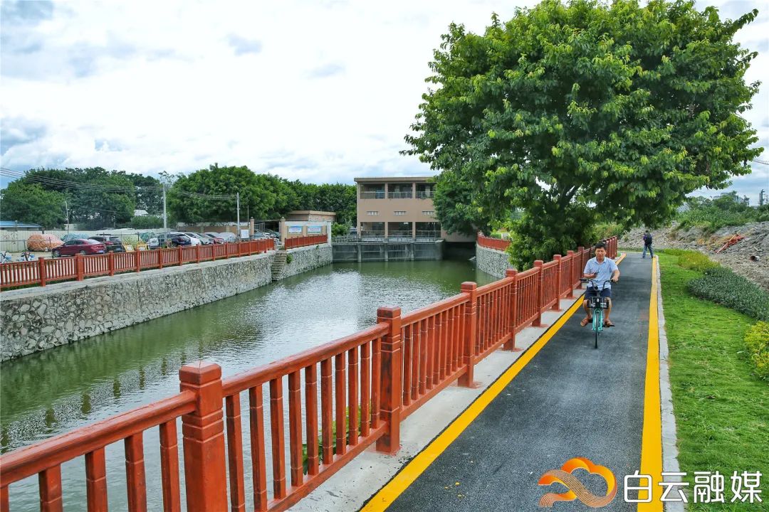 白云区好的初中排名榜,白云区成绩排名