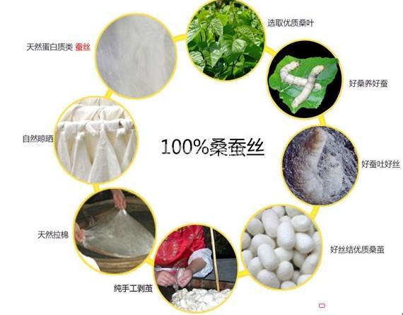 怎样才是真正桑蚕丝,桑蚕丝知识学习