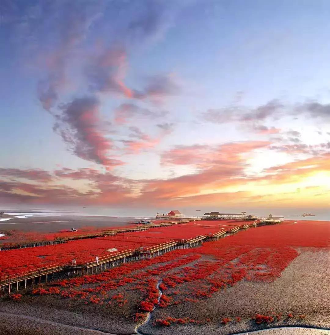 全中国唯一的黄海在哪里,中国有一片独一无二的红色海洋