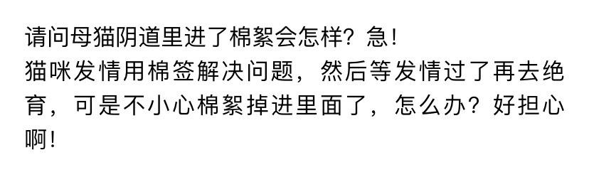 母猫发情用棉签戳，结果棉花掉进去了……