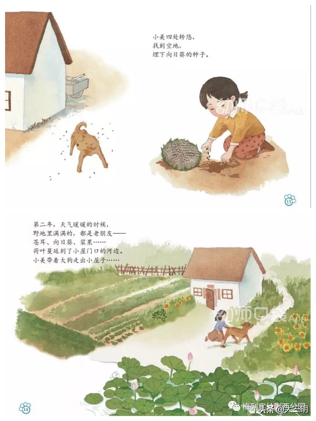 「家园齐心共战疫情」梅列实幼列西分园亲子“爱•悦课堂”中班(第四期)