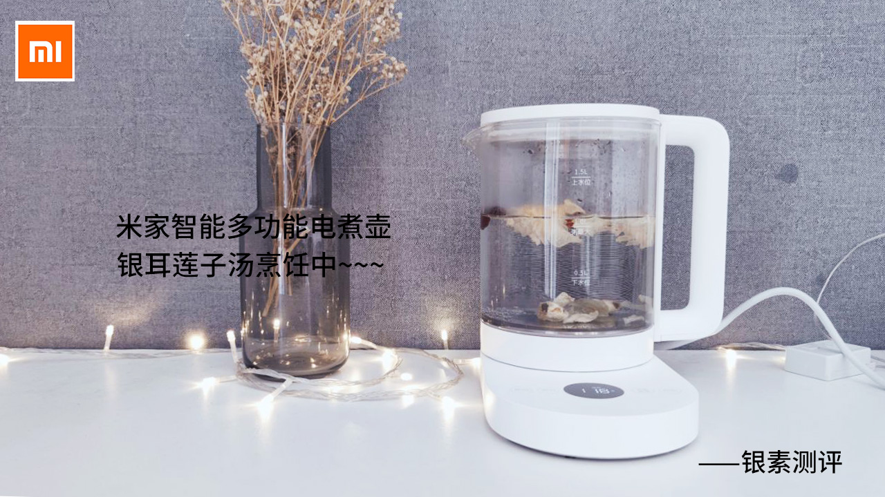 米家多功能养生壶,米家多功能电煮壶和养生壶的区别