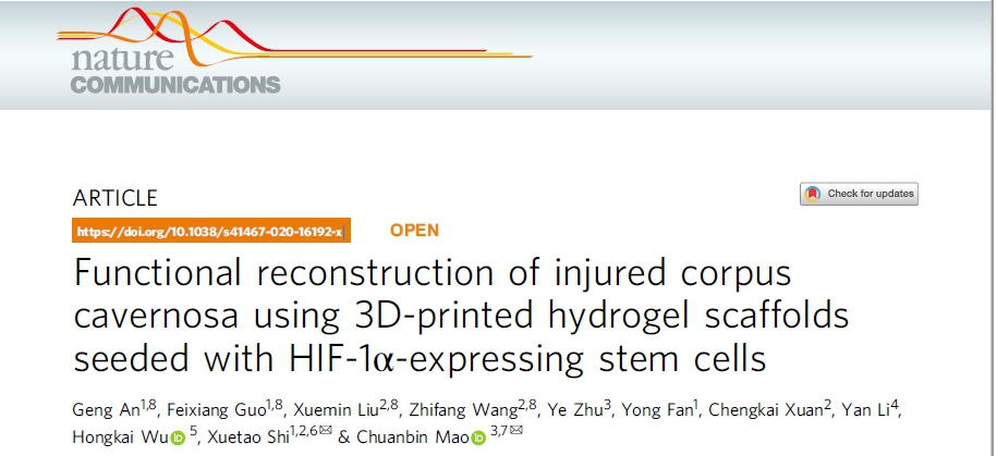 “丁丁”受损居然可以再生修复？这项新技术能恢复男性勃起功能和生殖能力