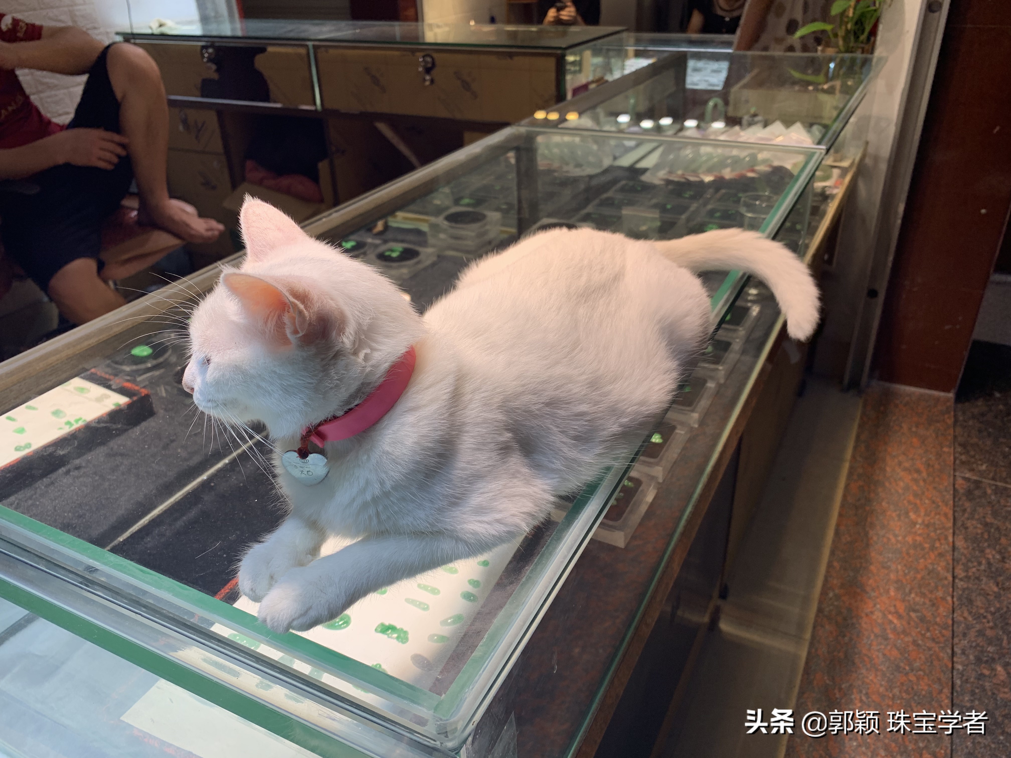 1分钟带你领略揭阳翡翠,三分钟带你了解翡翠的秘密