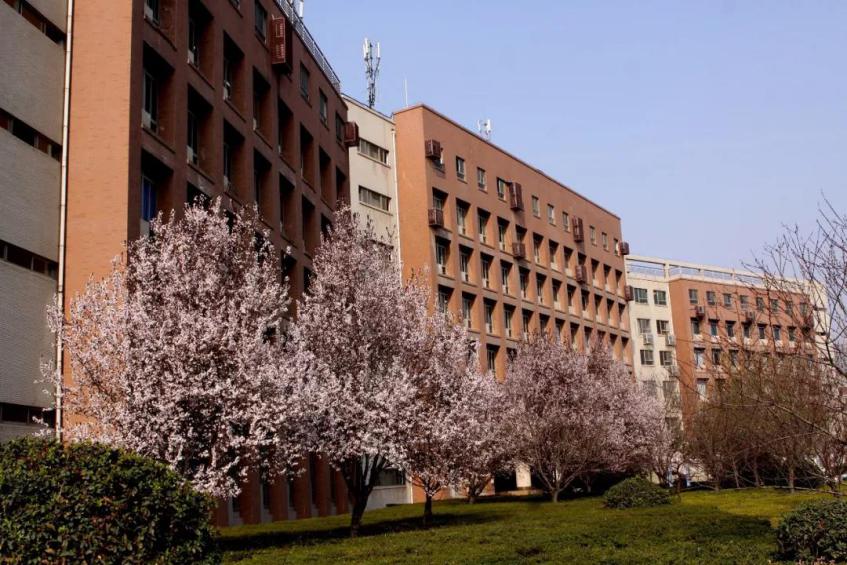 陕西女神学霸：学习好，颜值高，将赴211名校继续深造