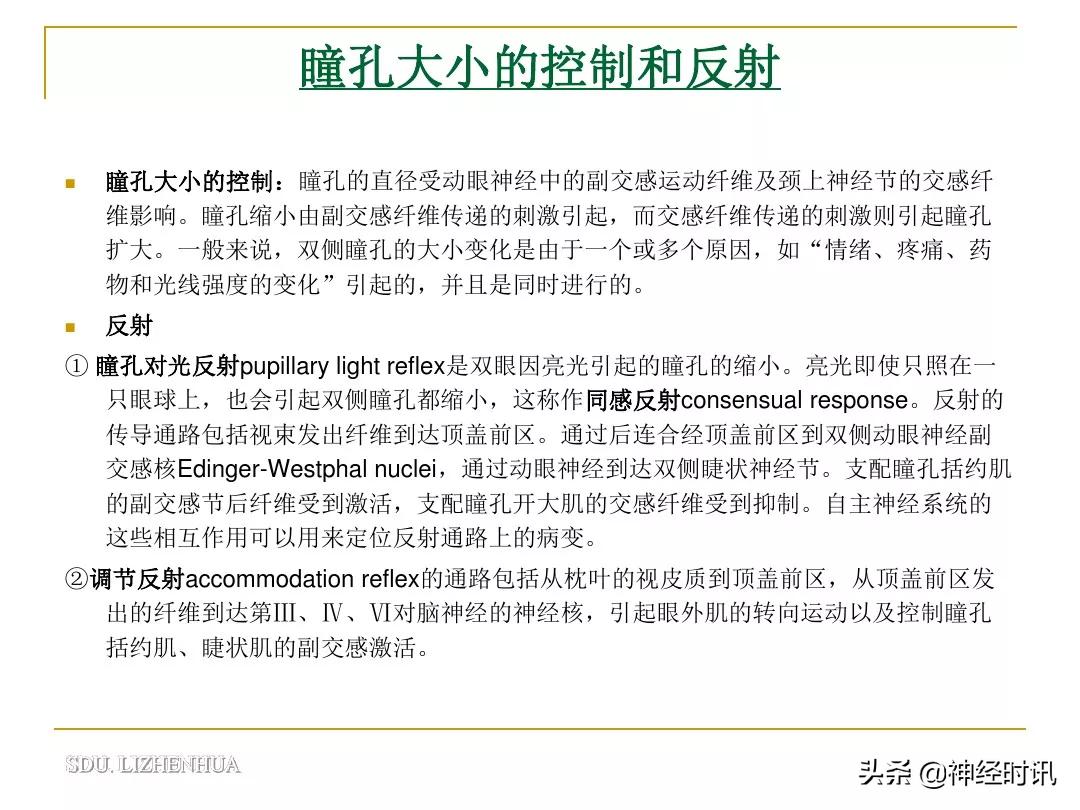 脑神经包含自主神经,脑神经算是传入神经吗