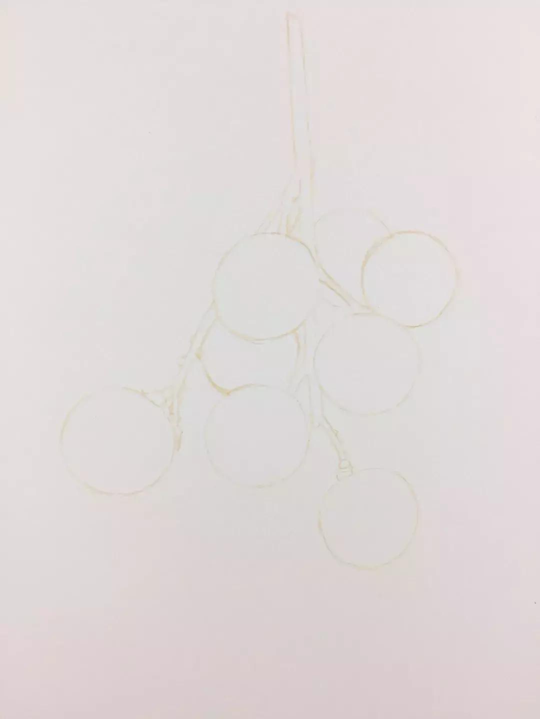 彩铅龙眼,龙眼怎么画彩铅