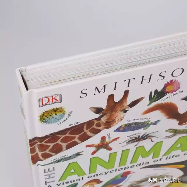 dk知识大百科全套,dk知识大百科书金银版