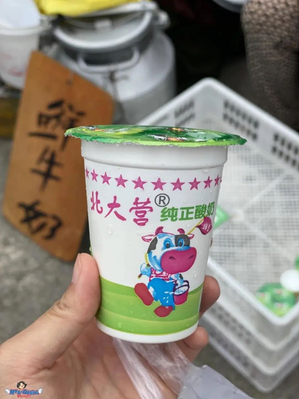 沈阳值得去的10个地方,沈阳最值得去的10个地方