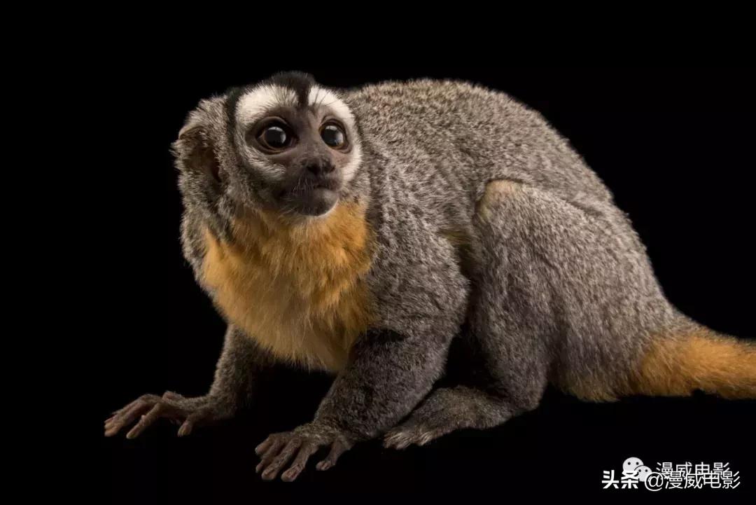 盘点蜘蛛侠英雄远征中的几个彩蛋,蜘蛛侠英雄远征天剑局彩蛋