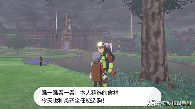 宝可梦剑盾开荒攻略,宝可梦剑新手攻略全流程