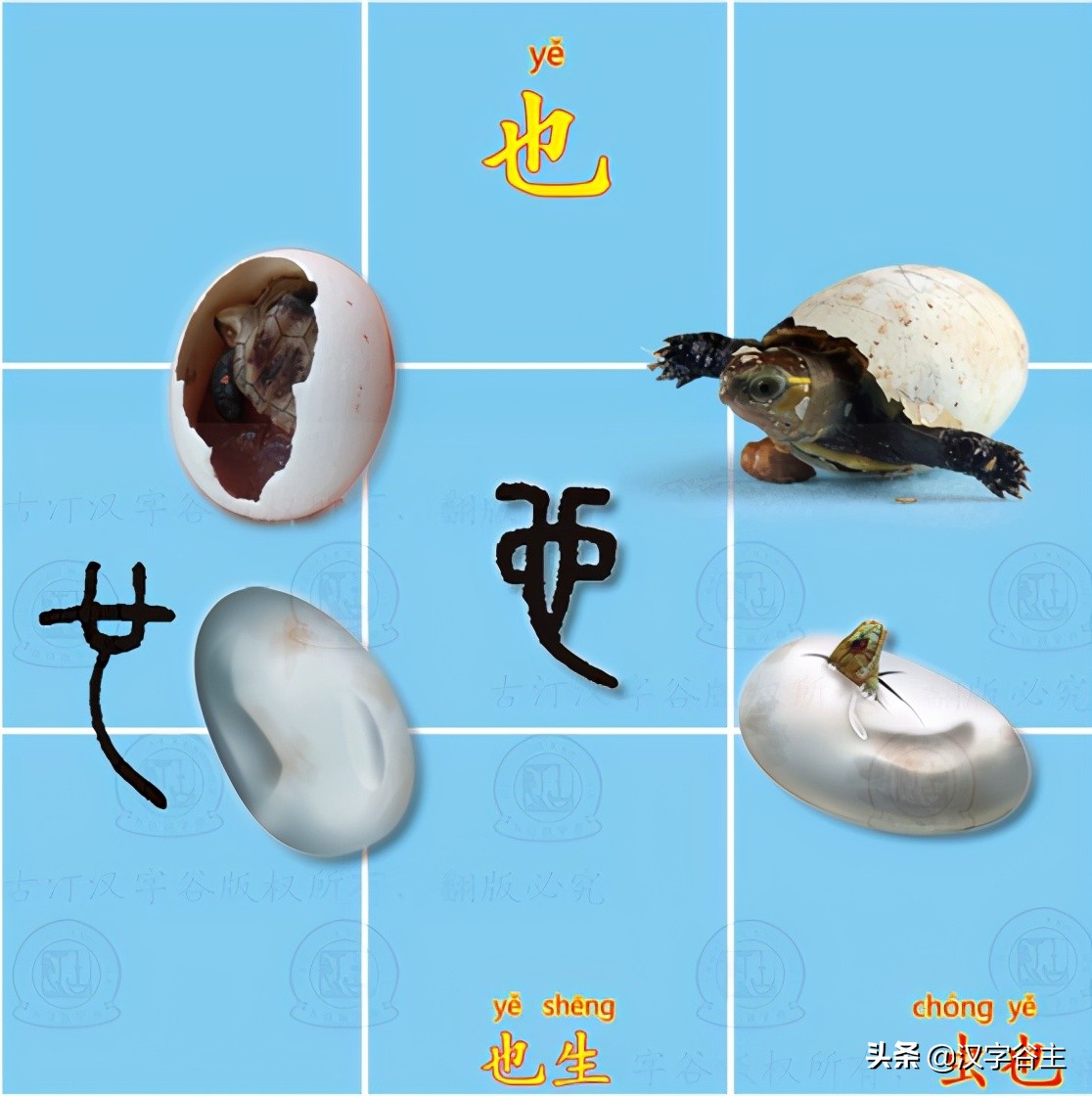 说文解字常用字教程,说文解字的正确使用方法