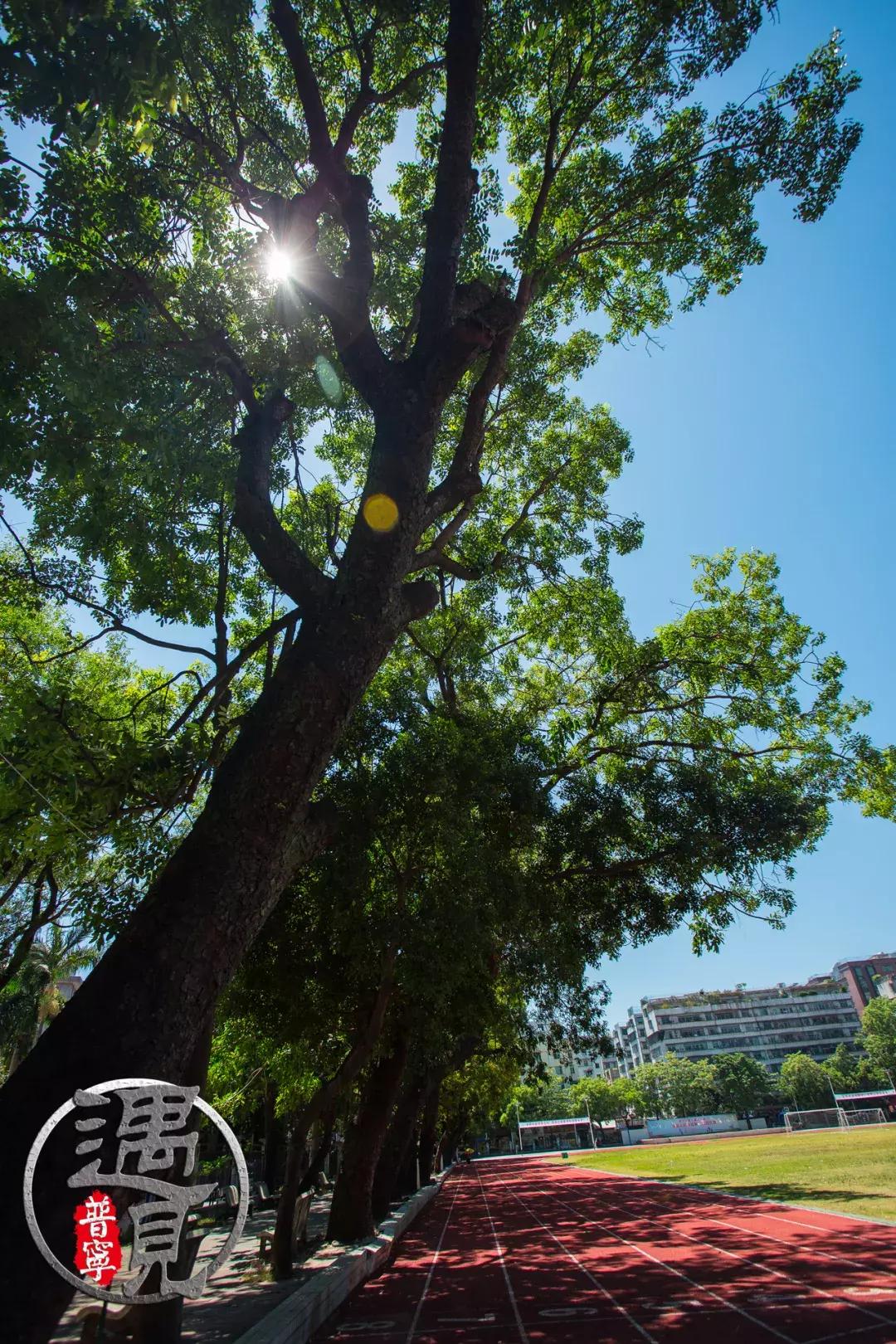 普宁流沙中华新城旧貌,普宁人民广场改造