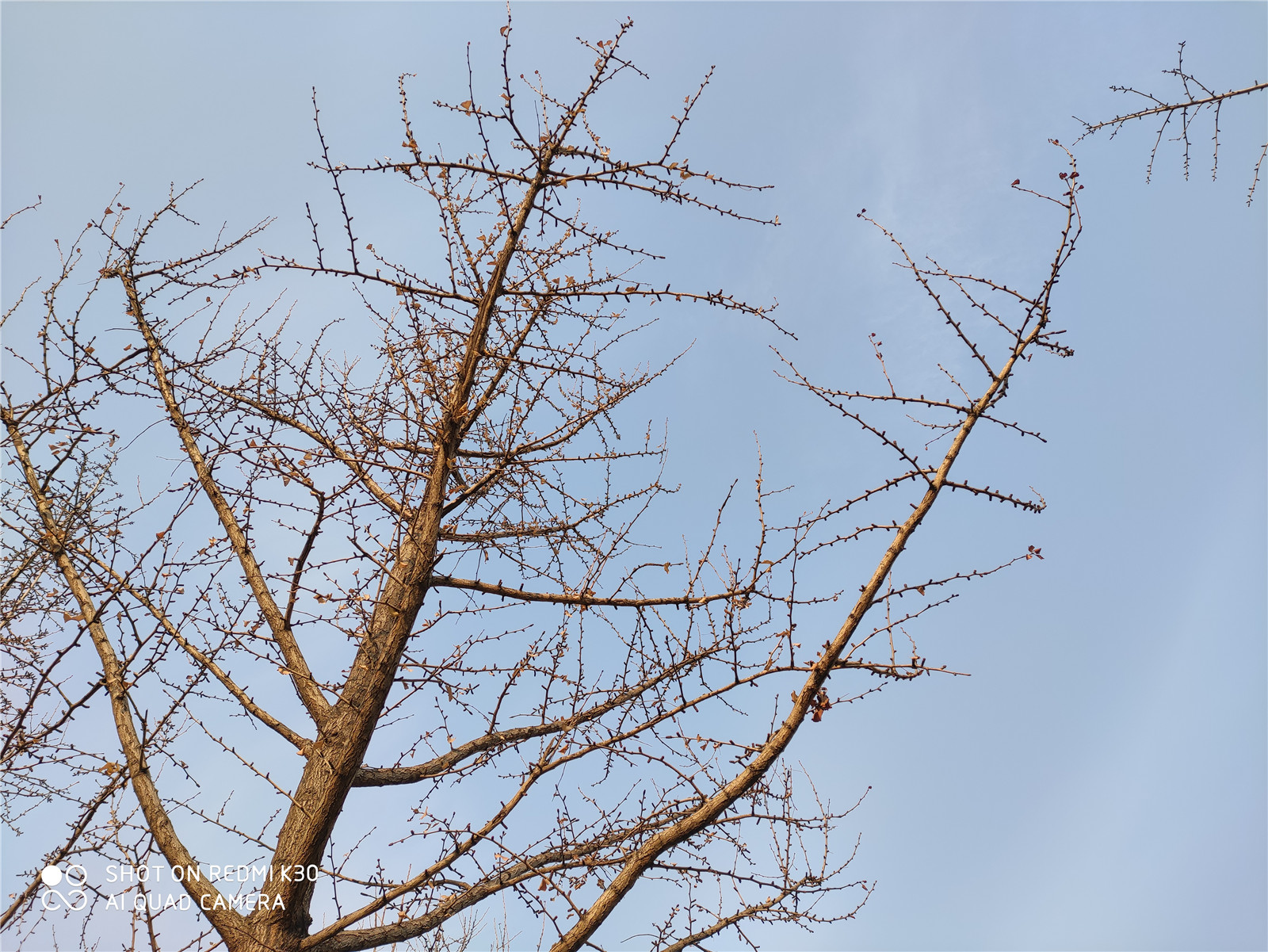 redmik30至尊版和红米k30pro参数,redmik30s至尊纪念版