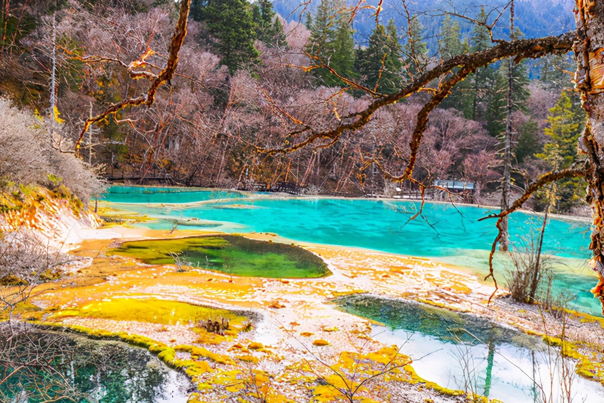 九寨沟最美的一处景点,九寨沟风景区好山好水好风光
