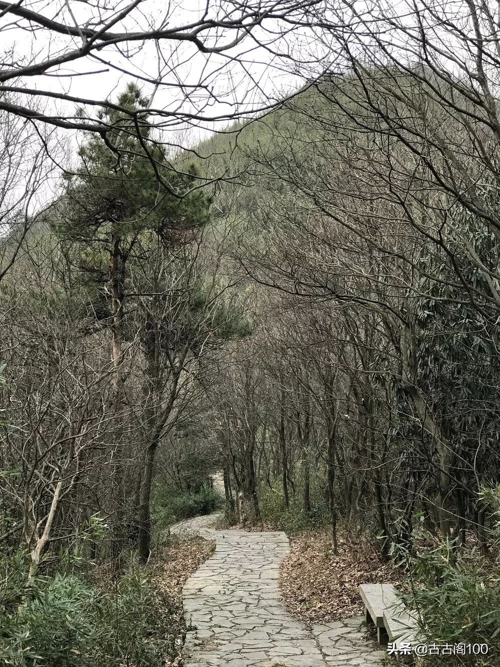 越王峥大峡谷：风景壮美，迷倒众生