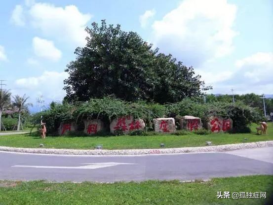 首个异地康达三亚语言发展工作坊，开启康达语言发展新里程碑