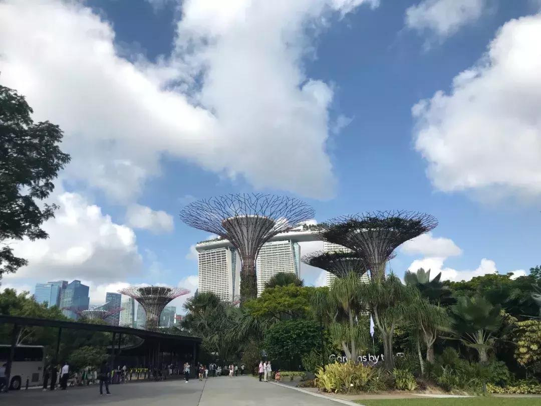 “南洋”见闻略：开怀有自新加坡