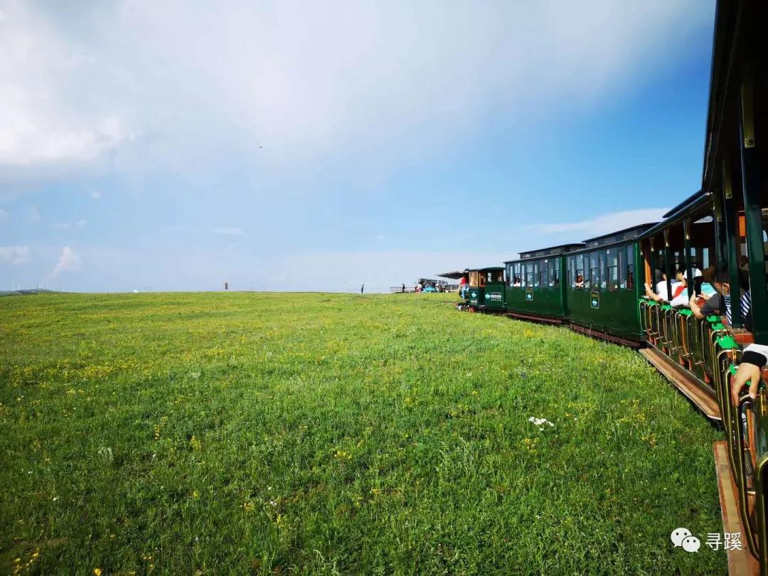 内蒙古大草原自驾游精品线路,辉腾锡勒草原黄花沟旅游攻略