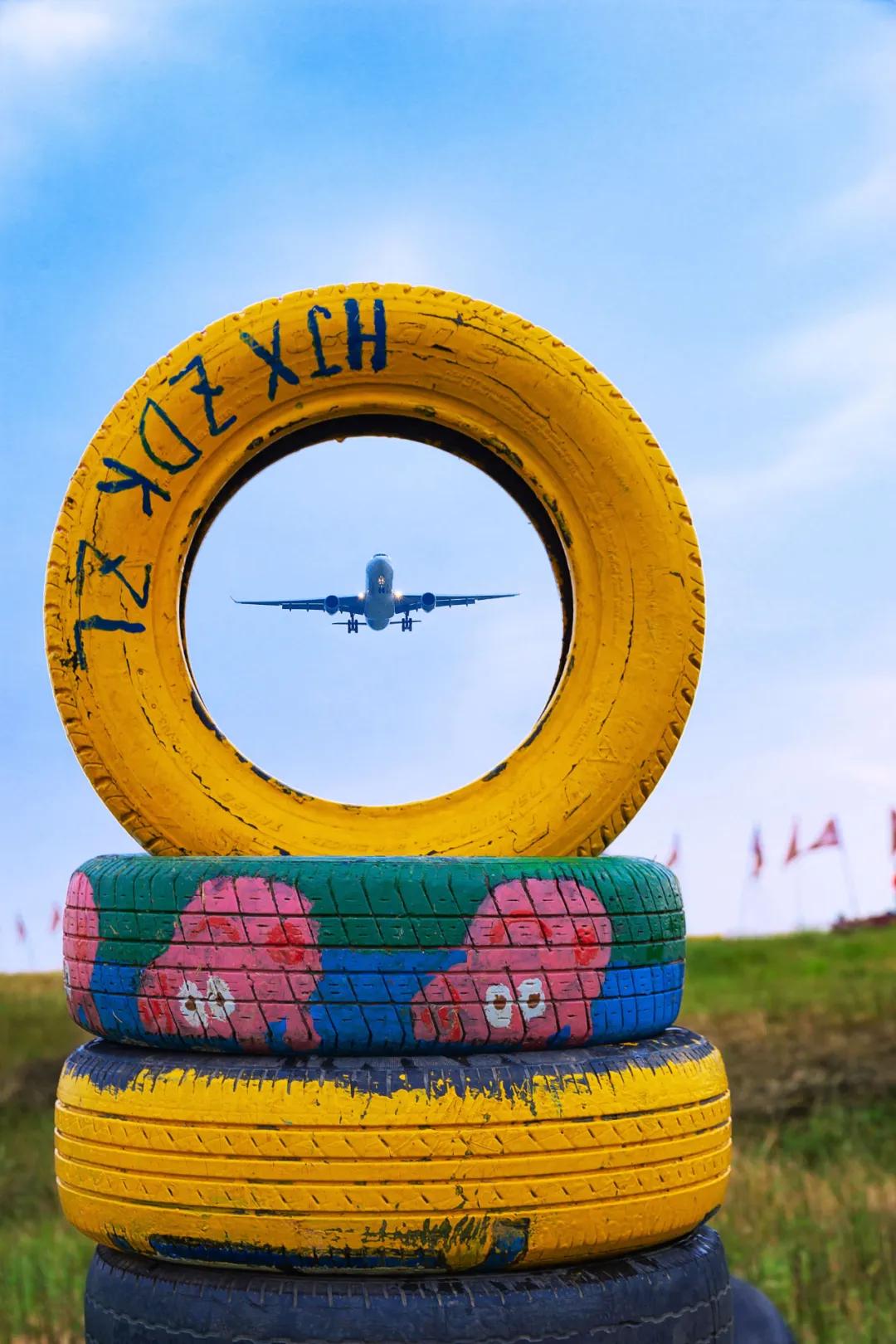 在空港花田里怎么拍照好看,每张都是屏保