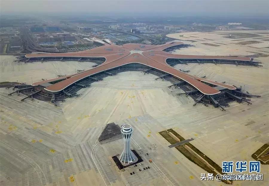 这也太牛了赞,这也太努力了表情包