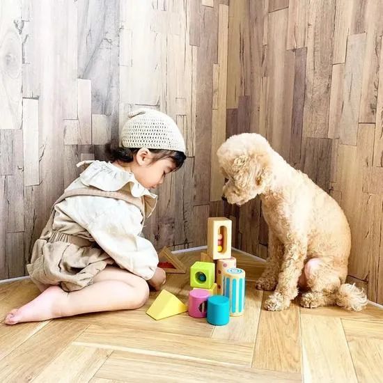 让狗狗带娃是什么体验?狗狗:“我为这个家操碎了心!”