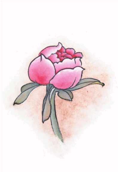 工笔渲染手法技巧,工笔画着色技法视频