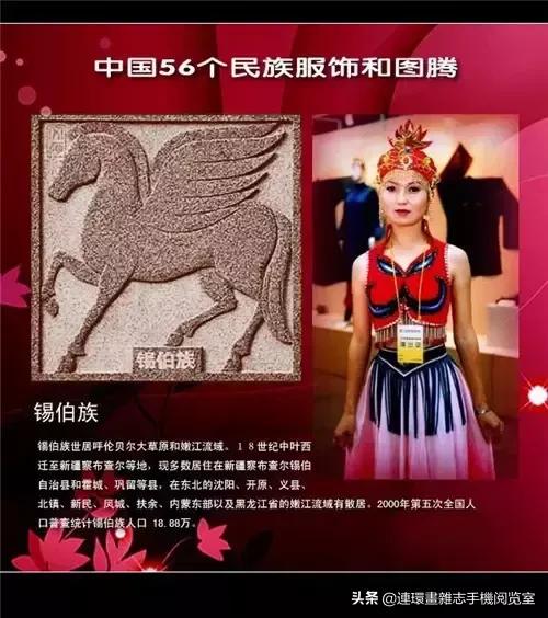 外网评论中国56个民族服饰,56个民族的图腾