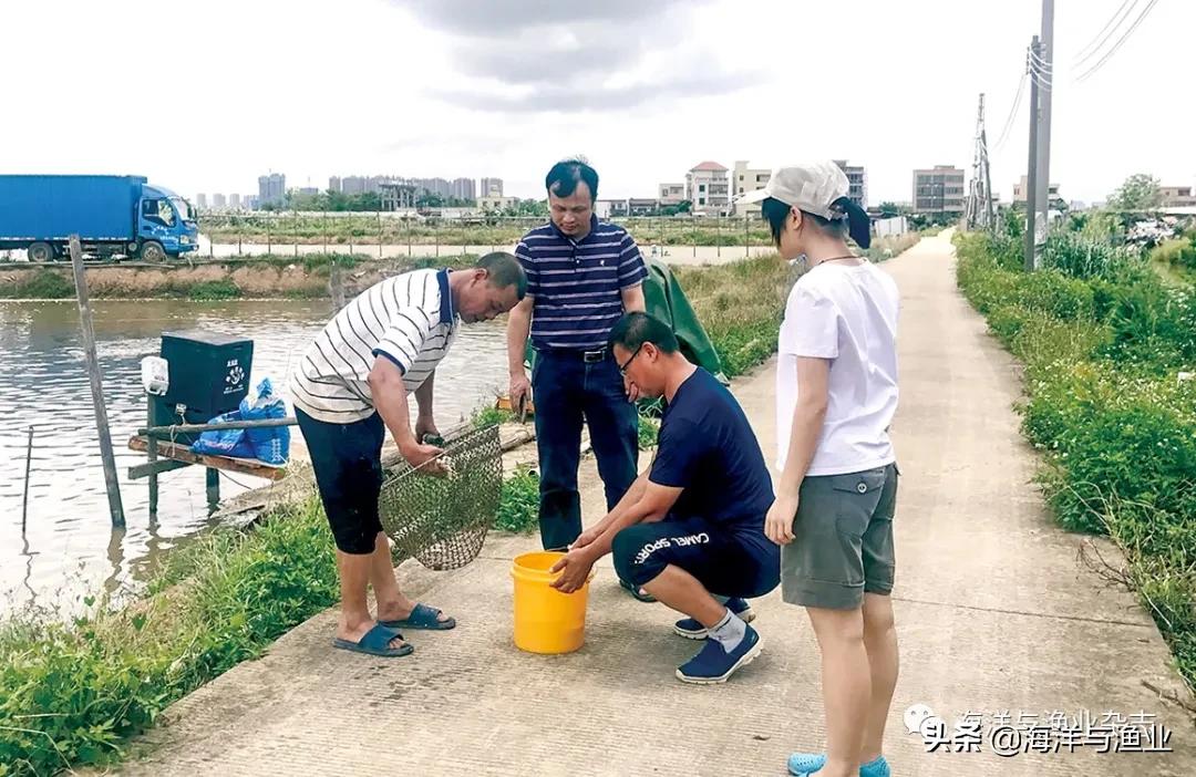 李勇：敢啃“硬骨头”助产业发展
