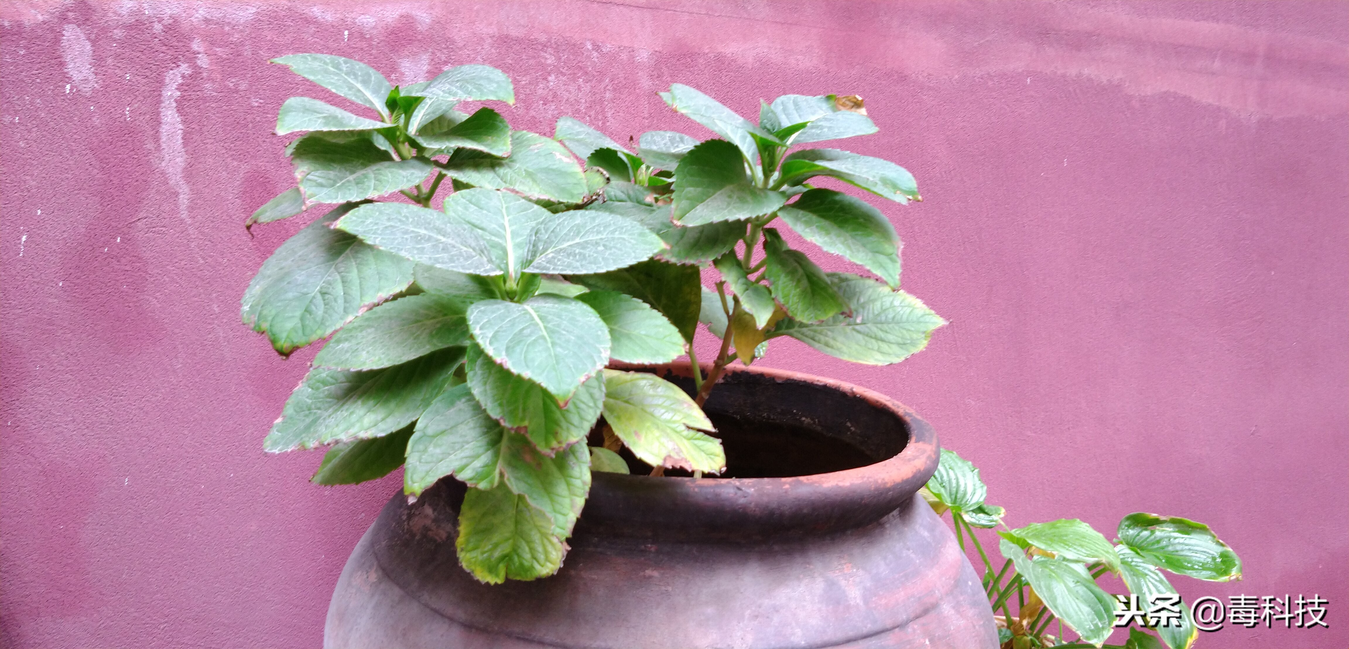 颜值和性能汽车,颜值和性能并存的电车