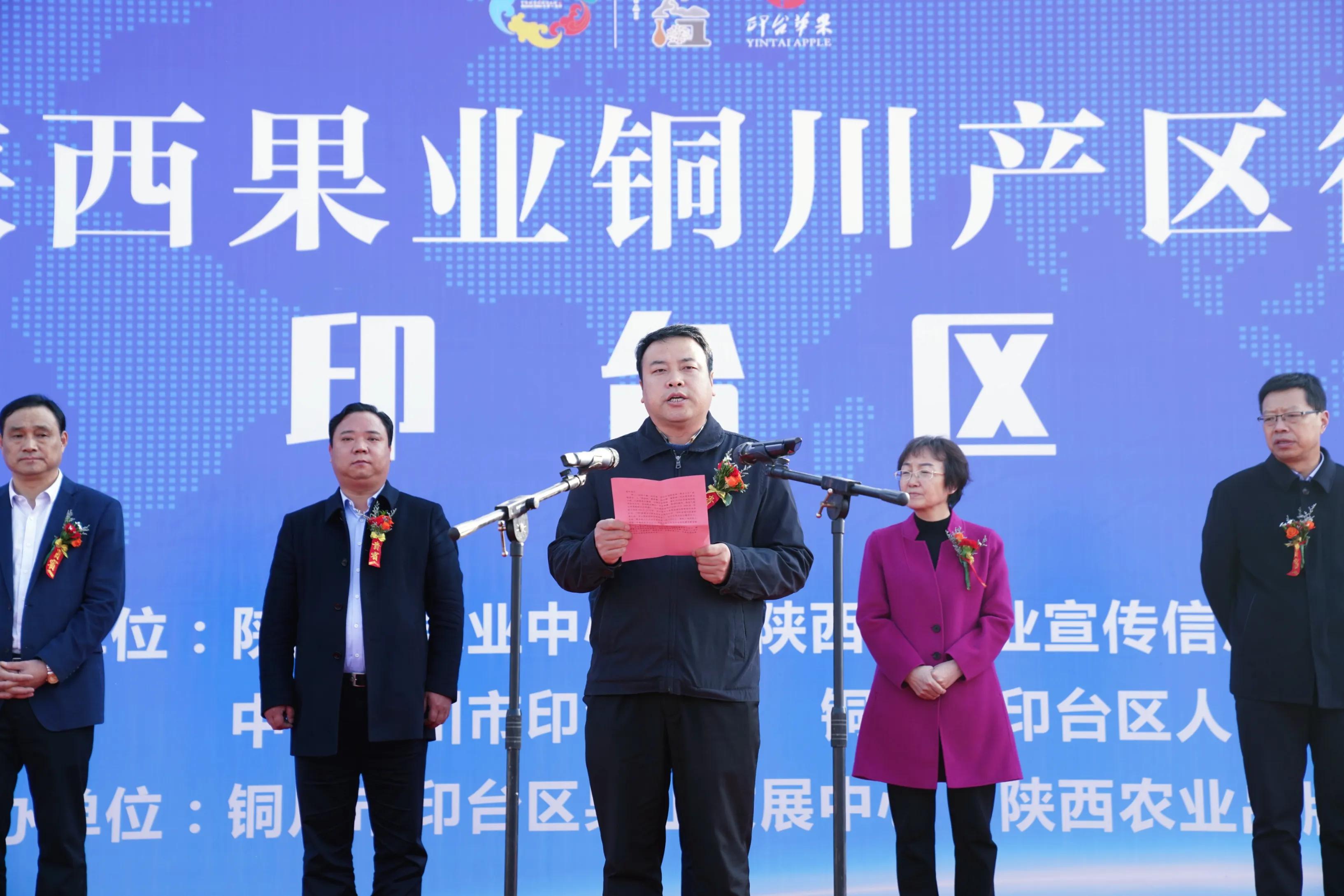 一品苹果·唯美印台，陕西果业产区行走进铜川印台区苹果优生区