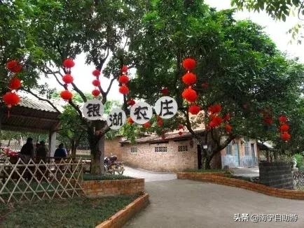 南宁农家乐排行榜适合小朋友,南宁附近农家乐一日游攻略