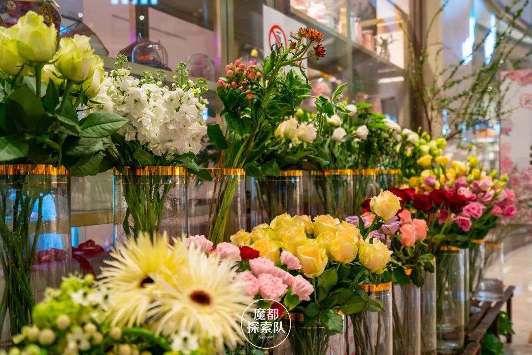 钖呯緤姣涘墎鎵嬪厷,3鏈堟渶鍚庝竴娉㈣枀缇婃瘺鎸囧崡