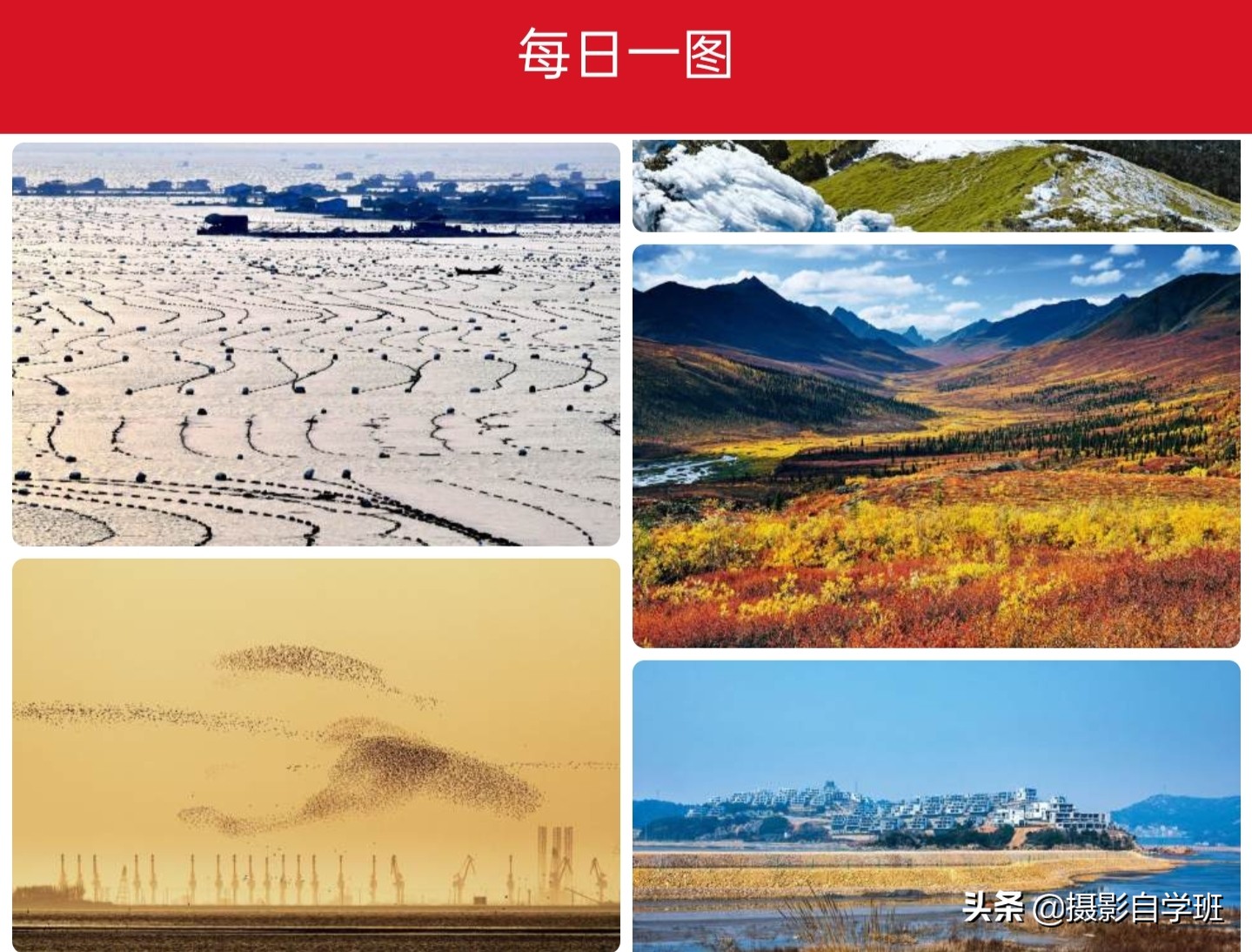 推荐一款手机摄影功能强大的手机,提高摄影审美的app