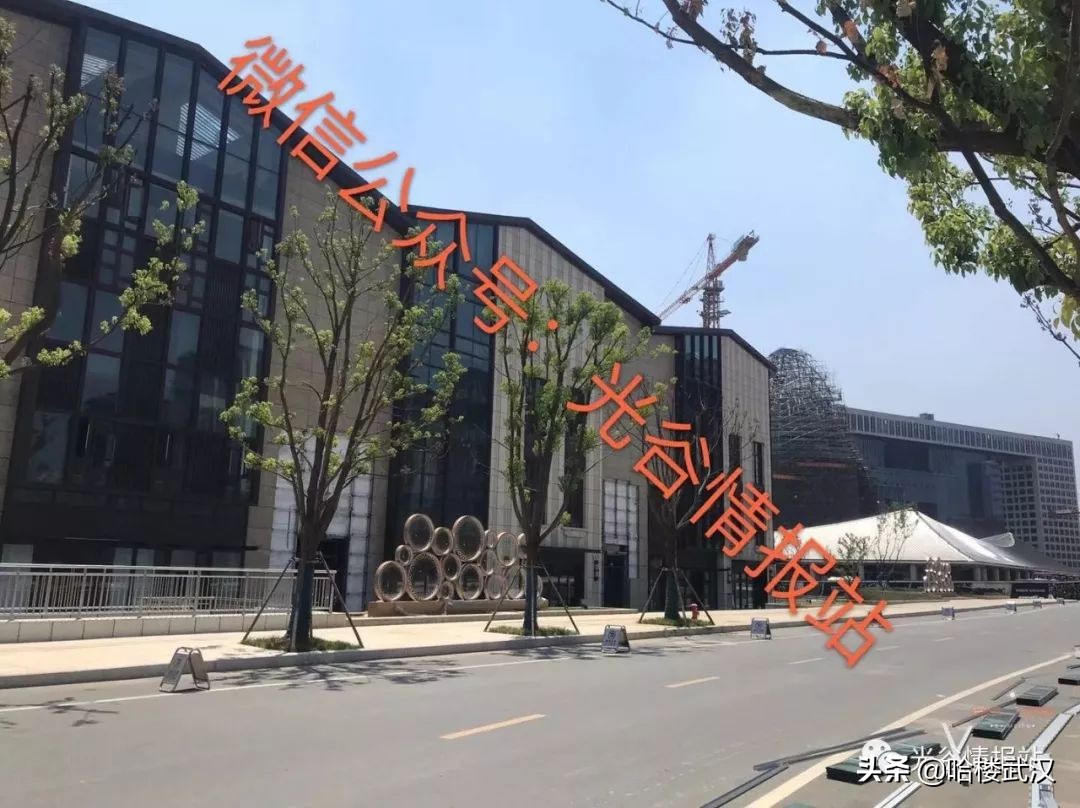 光谷新开的一家电影院,光谷全球最大全景空中电影院