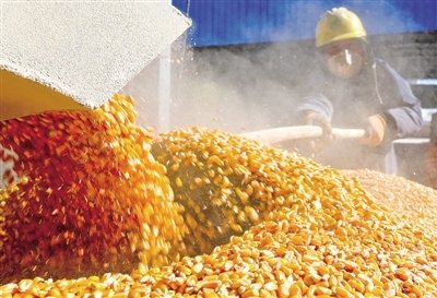 未来农村和乡镇赚钱的门路有哪些,藏在农村的暴利小生意有哪些