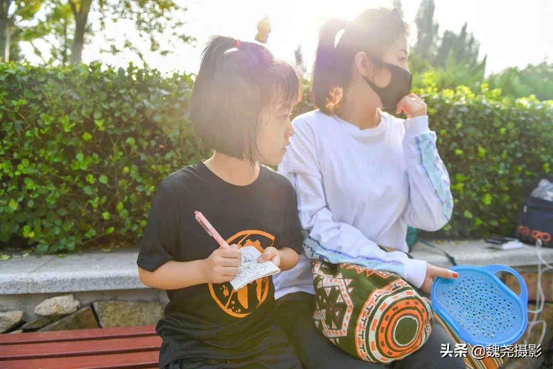 北京北坞公园里的京西稻又熟了，曾经只有皇上才能吃上这儿的大米