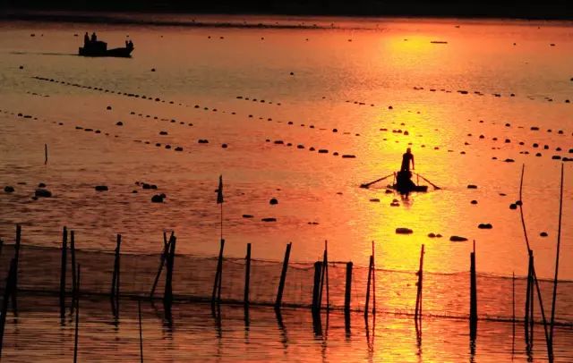 台州三门赶海民宿,三门民宿推荐浙江