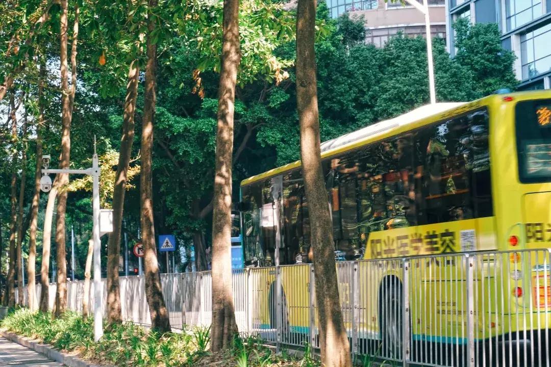 北方的华强北,华强北这里有寄存东西的吗