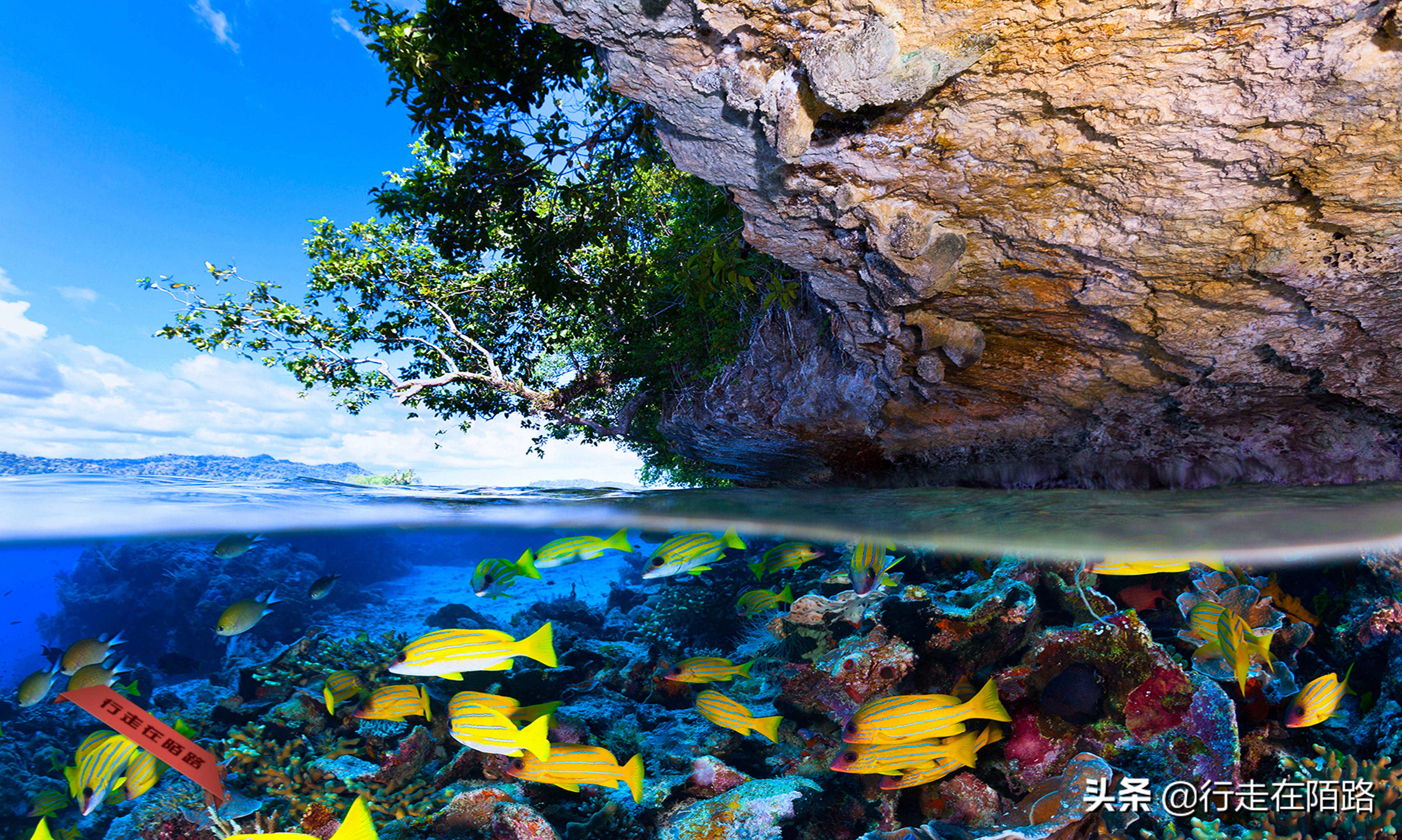 帕劳岛旅游,帕劳四王岛