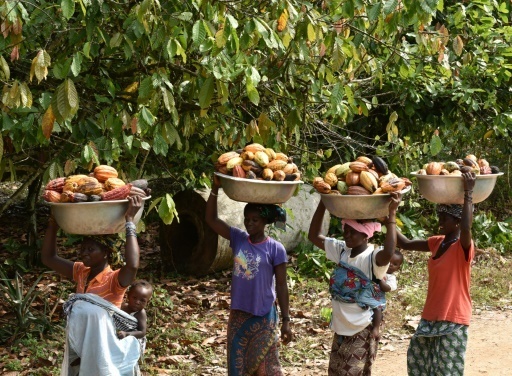 科特迪瓦五年居留证多久出来,第二个科特迪瓦