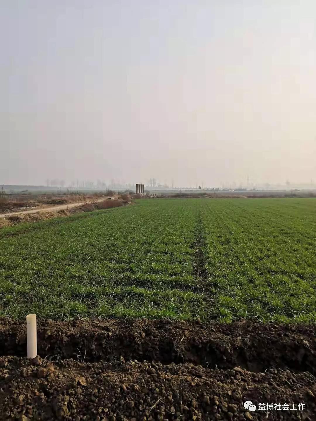 王玉日常生活视频,王玉的日常生活视频