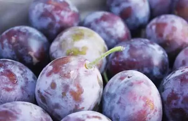 全国各地最全特产,全新疆特产