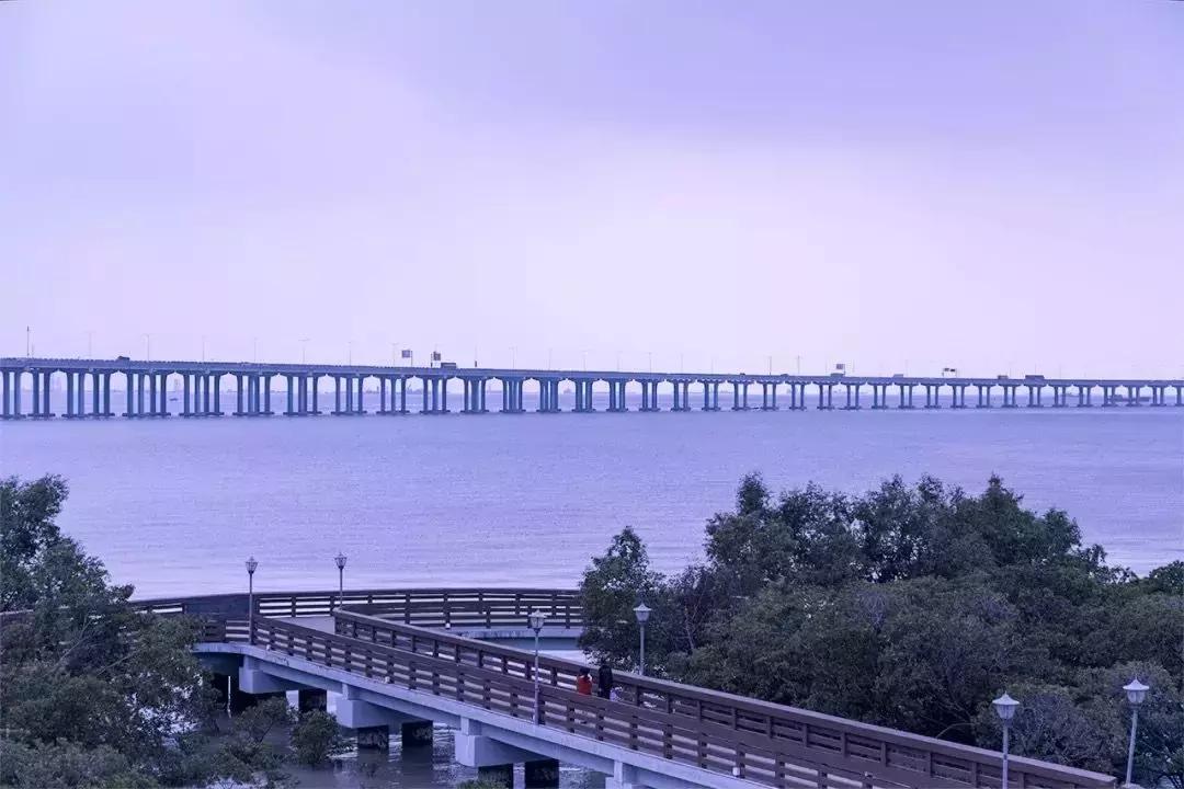 深圳市一日游攻略最佳路线,深圳一日游详细攻略大全最新