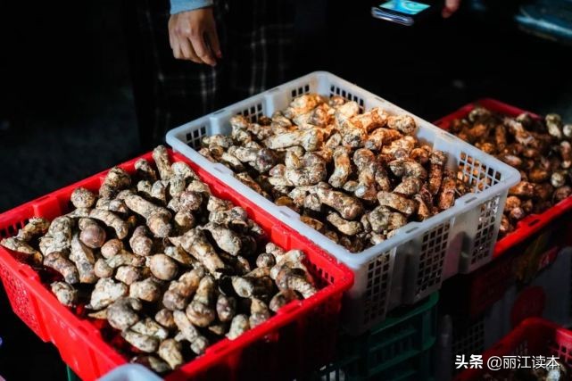 疯狂的松茸,疯狂的野生菌