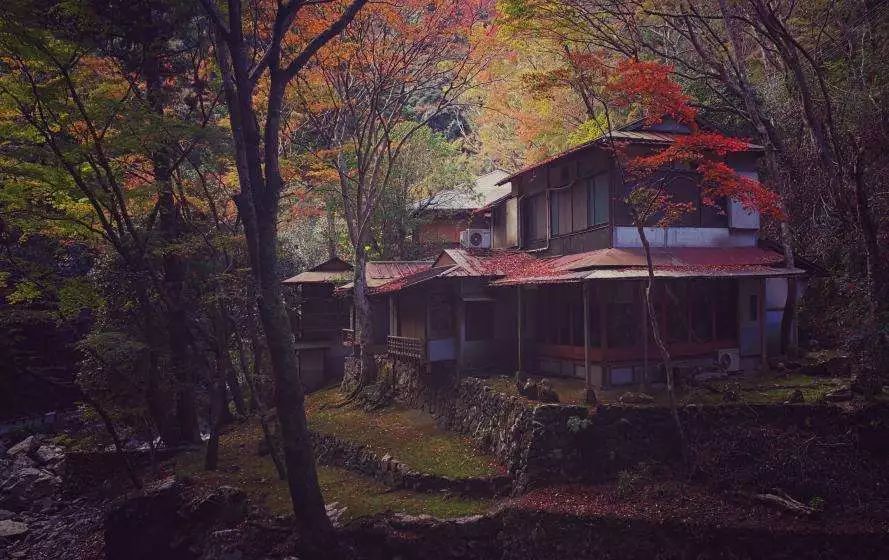 大阪攻略自由行,看惯了千篇一律的高楼大厦