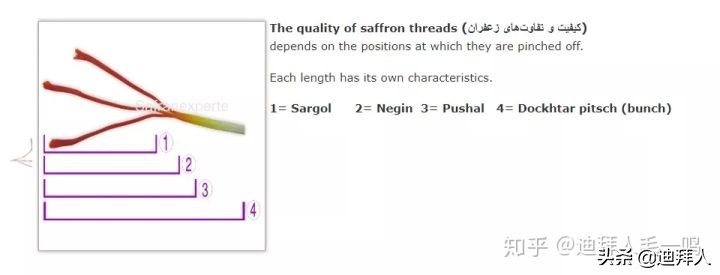 藏红花假的最简单辨别方法,藏红花真假鉴别图片