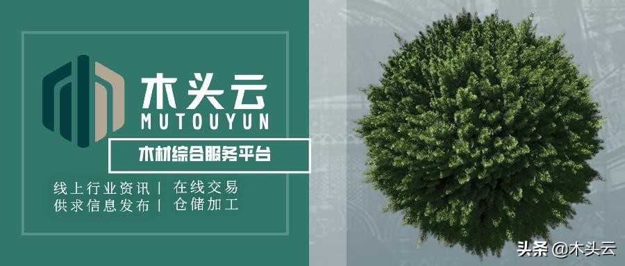 木器涂料的使用方法,家装木器漆如何选