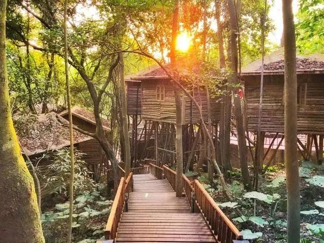 九州驿站英德天门沟树屋住宿价格,清远天门沟九州驿站